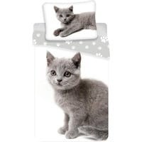 Zestaw na łóżko Single Ranforce Kitten Grey