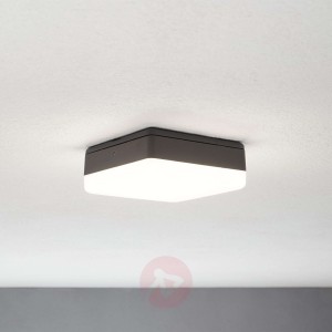 Lampa sufitowa LED Thilo, szary, 16 cm