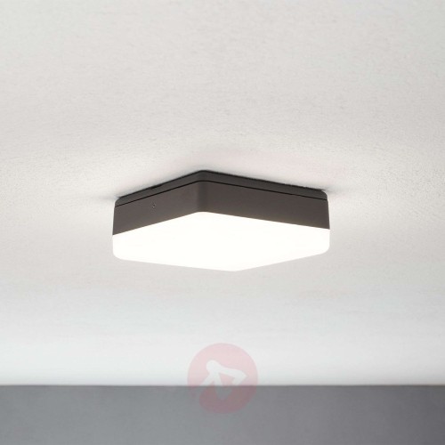 a5dad946819008c61d4bec4bc35a99b7