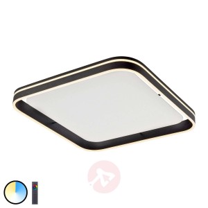 Paul Neuhaus Q-VITO lampa sufitowa 59x59 antracyt