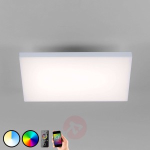 Paul Neuhaus Q-FRAMELESS lampa sufitowa RGBW 45x45