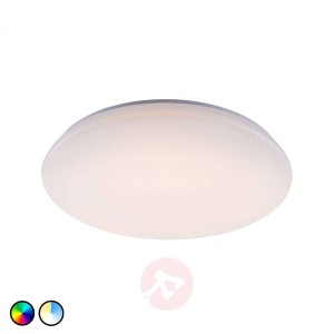 Trio WiZ Charly lampa sufitowa LED biała