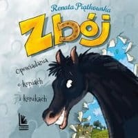 Zbój