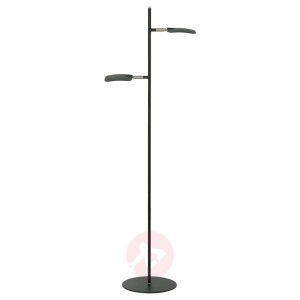 Lampa stojąca LED Raggio, 2-punktowa, czarna