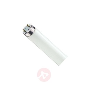 G13 T8 PHILIPS MASTER TL-D Xtra 18W - 865
