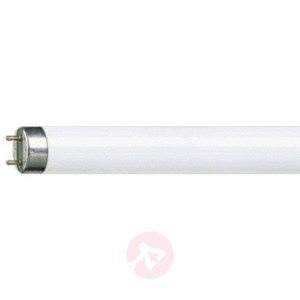 G13 T8 świetlówka MASTER TL-D Super 36W-830