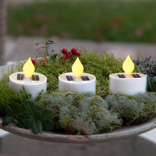 ac9974ee346793fccea1488ab80b6f39