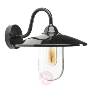 Pełna przepychu zewnętrzna lampa ścienna BRIG