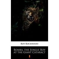 Bomba, the Jungle Boy at the Giant Cataract