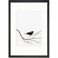 Obraz Bird on the Branch 24x29 cm