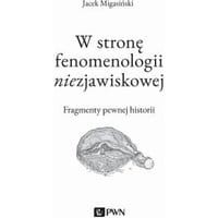 W stronę fenomenologii niezjawiskowej. Fragmenty pewnej historii