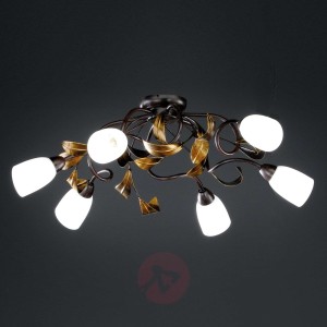 Wygięta lampa sufitowa Supra, 6-punktowa