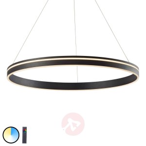 Paul Neuhaus Q-VITO wisząca LED 79 cm antracyt