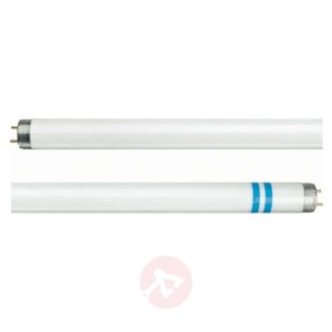 G13 T8 świetlówka tłukąca się w bezpieczny sposób