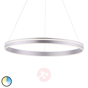 Paul Neuhaus Q-VITO lampa wisząca LED 79cm stal