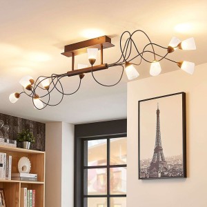 12-punktowa lampa sufitowa LED Hannes