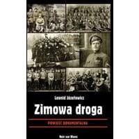 Zimowa droga