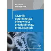 Czynniki determinujące efektywność przedsiębiorstw produkcyjnych