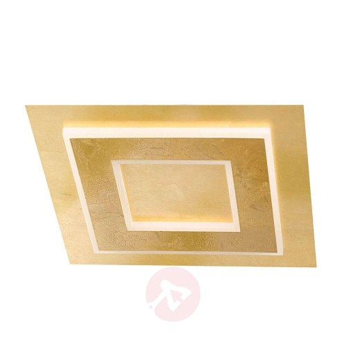 c187f03a11fdce839c106501dfed3801