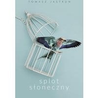 Splot słoneczny