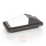 Kinkiet zewnętrzny LED Nikan, IP65, ciemnoszary