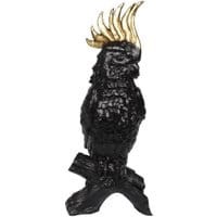 Dekoracja Black Parrot