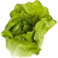 Dekoracja Romaine Lettuce