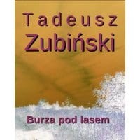 Burza pod lasem