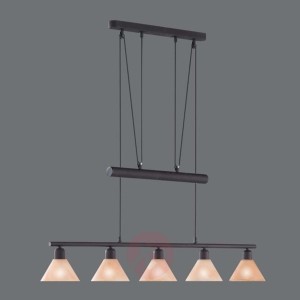 Lampa wisząca Zug, regulowana wysokość, 5-punktowa