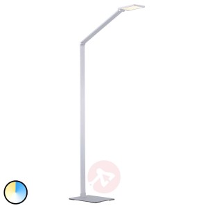 Paul Neuhaus Q-HANNES lampa stojąca LED