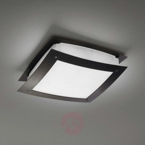 Piękna zewnętrzna lampa sufitowa Darwin