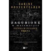 Zagubione w matematyce