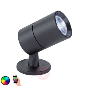 Paul Neuhaus Q-RAY lampa stołowa LED lampa stojąca