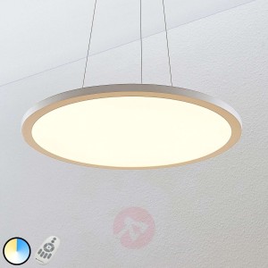 Lampa wisząca LED Tess, 2 700-6 200 K, 60 cm,biała