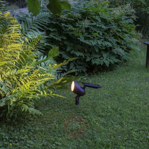 d5c055445ac1a8cf5cddb47a220025f0