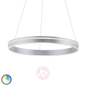 Paul Neuhaus Q-VITO lampa wisząca LED 59cm stal