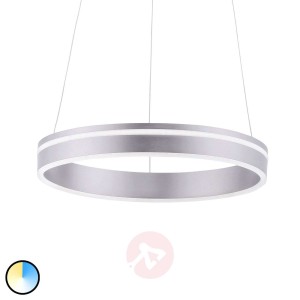 Paul Neuhaus Q-VITO lampa wisząca LED 40cm stal