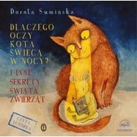 Dlaczego oczy kota świecą w nocy?