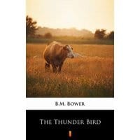 The Thunder Bird