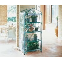 Minicieplarnia Azalea Wheels Four