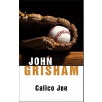 Calico Joe