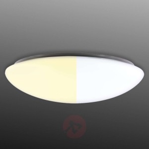 Zdalnie sterowana lampa sufitowa LED ANIANA