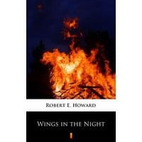 Wings in the Night