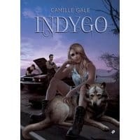 Indygo