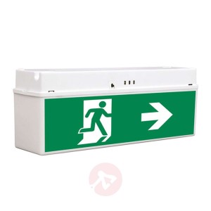 Lampa awaryjna LED ścienna/sufitowa