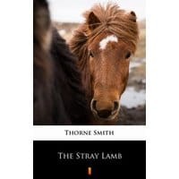 The Stray Lamb