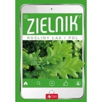 Zielnik