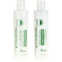 Encanto Organic Daily Aloe Shampoo 236ml + Encanto Organic Argan Oil Conditioner 236ml