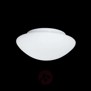 Szklana lampa sufitowa zewnętrzna Wayne 23 cm IP44