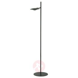 Lampa stojąca LED Raggio, 1-punktowa, czarna